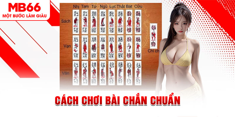 78wim gà chọi cậu thanh