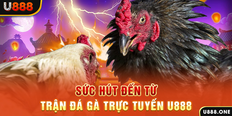 78wim đá gà trực tiếp c1