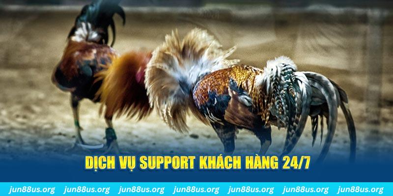 78wim ÁT CHỦ BÀI GIÀNH LẤY ZHUANG NIUNIU ( XEM 4 LÁ )