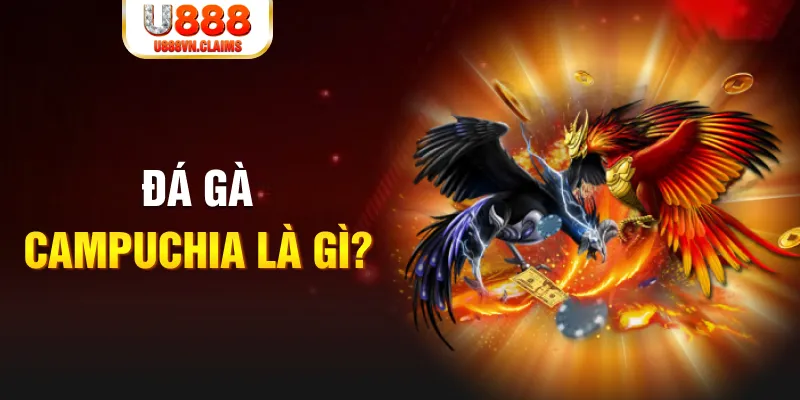78wim bắn cá vàng h5
