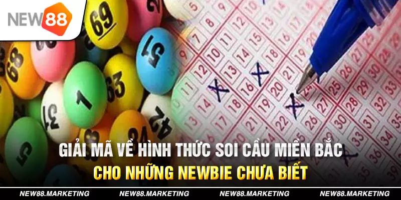 78wim xổ số tây ninh