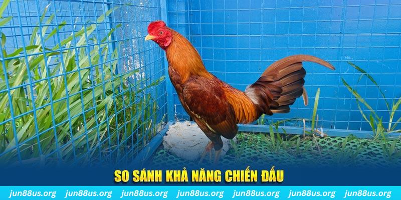 78wim CQ9 Điện Tử