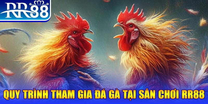 78wim đá gà cam 67