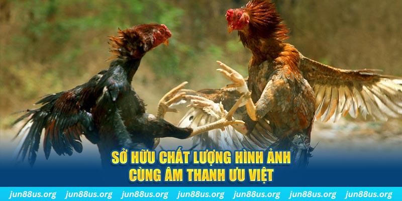 78wim PP Điện Tử
