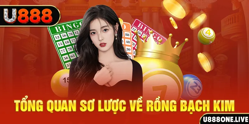78wim hũ 8 bit nổ như thế nào