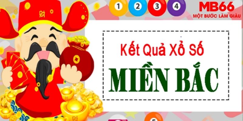 78wim chọi gà