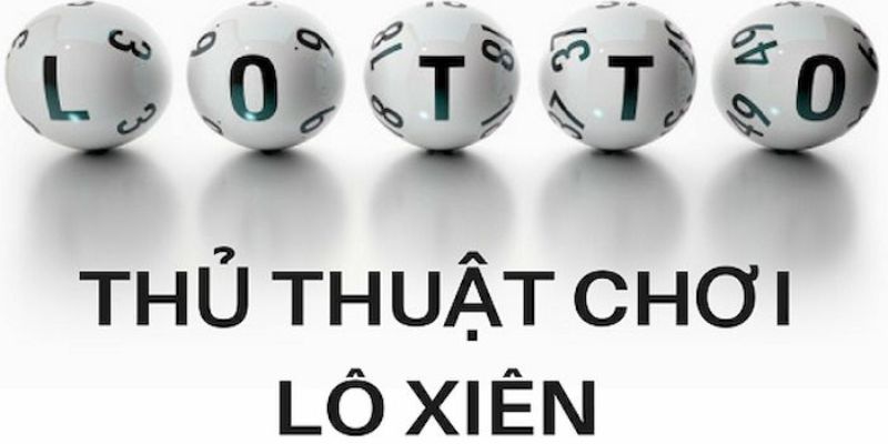78wim trực tiếp đá gà thomo