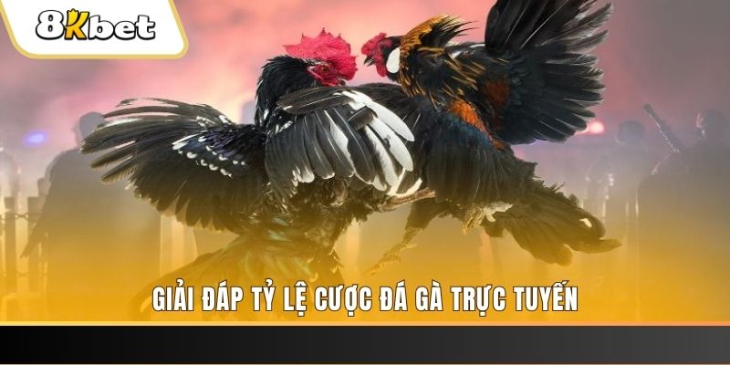 78wim xổ số đài miền trung