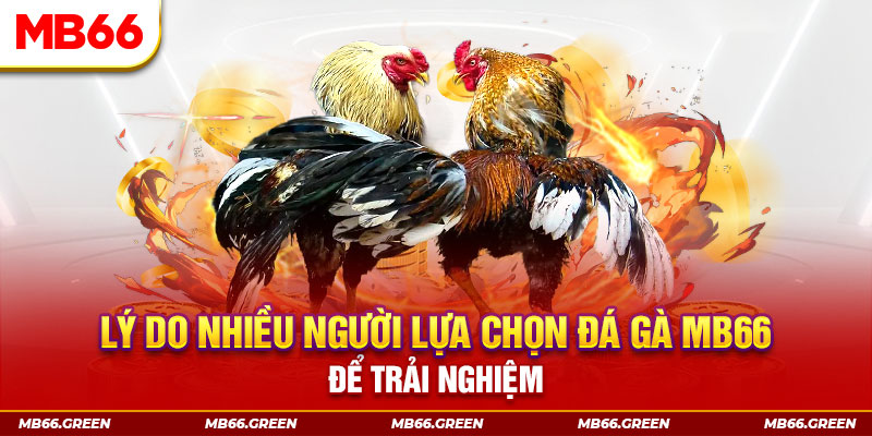 78wim xổ số miền bắc thứ bảy hàng tuần