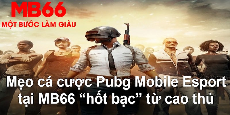 78wim VA Bắn cá