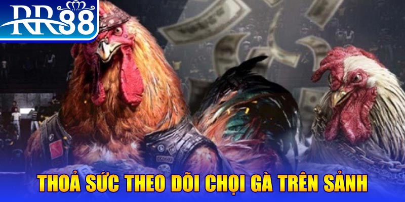 78wim trực tiếp đá gà c1