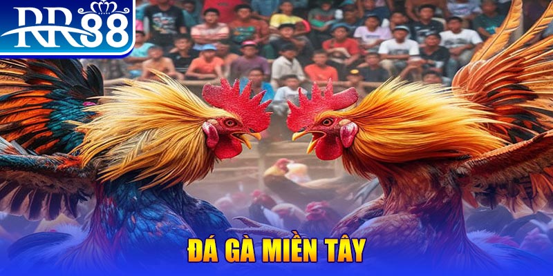 78wim no hu doi thuong ai