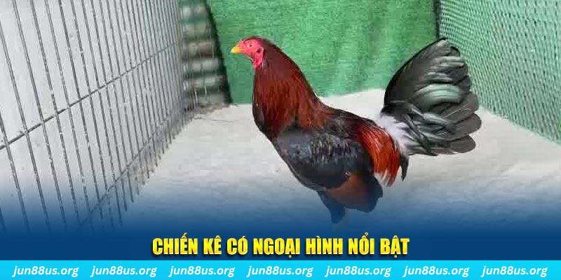 78wim game nổ hũ là gì